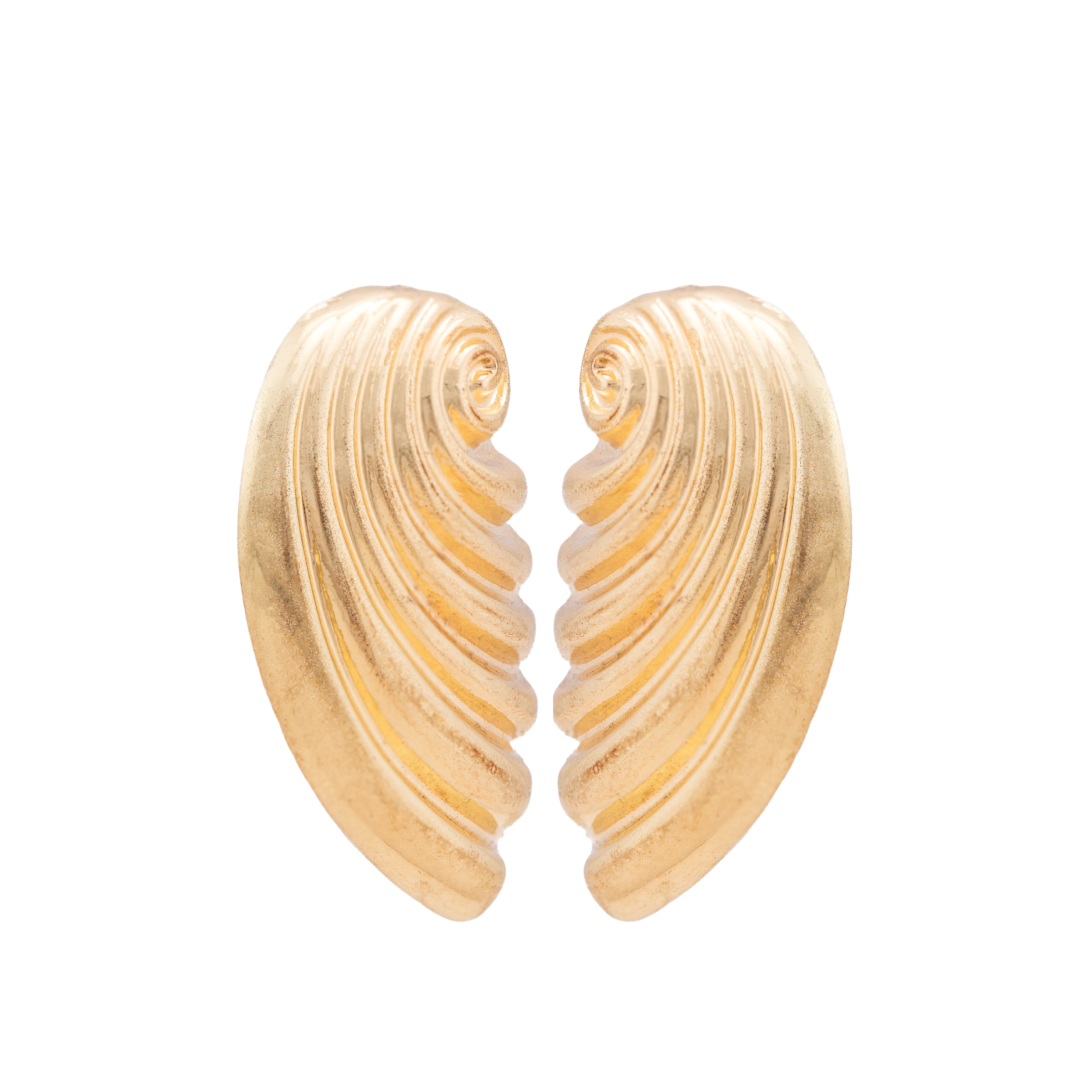 Shell Curve Stud