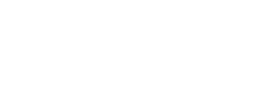 Social Pepper