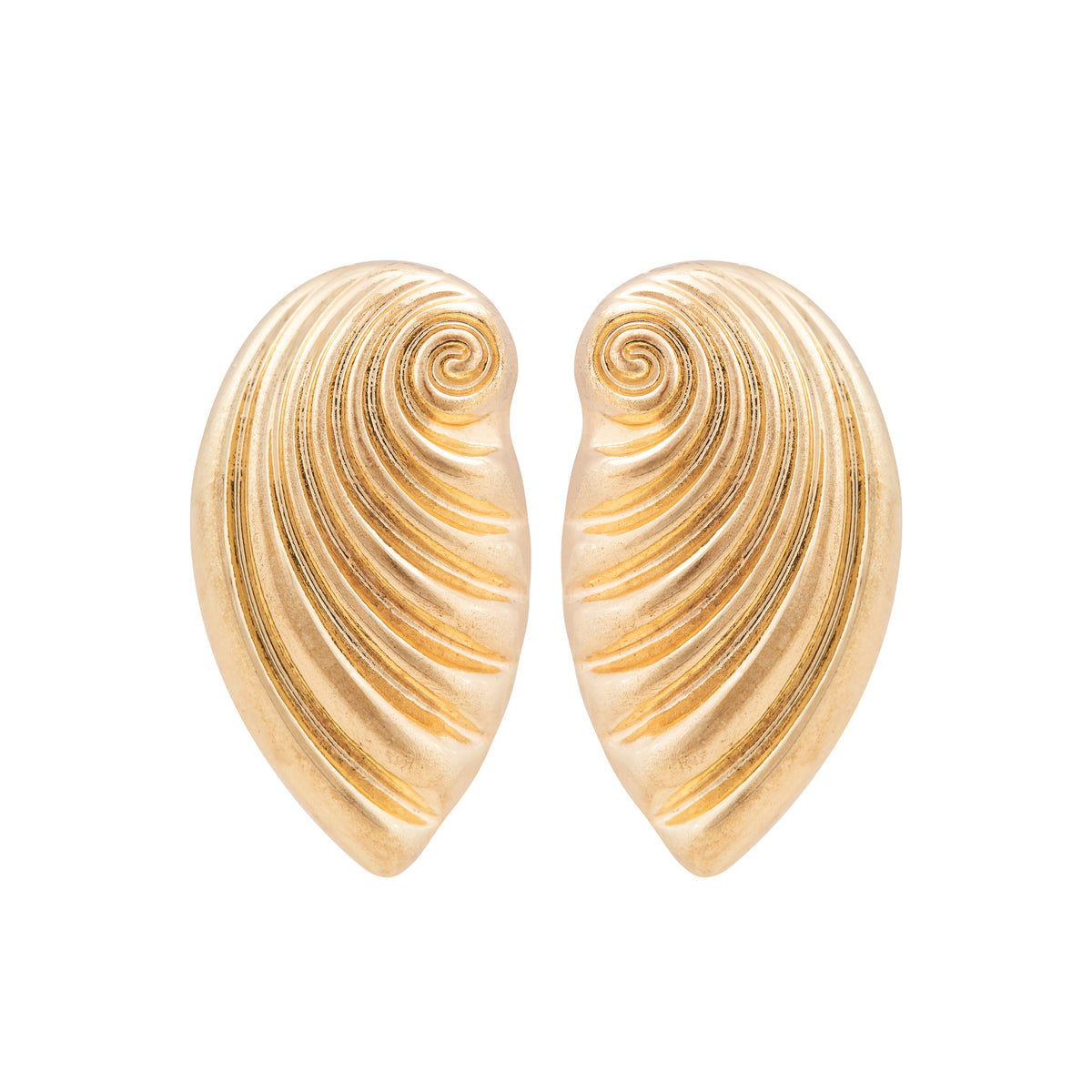Shell Curve Stud